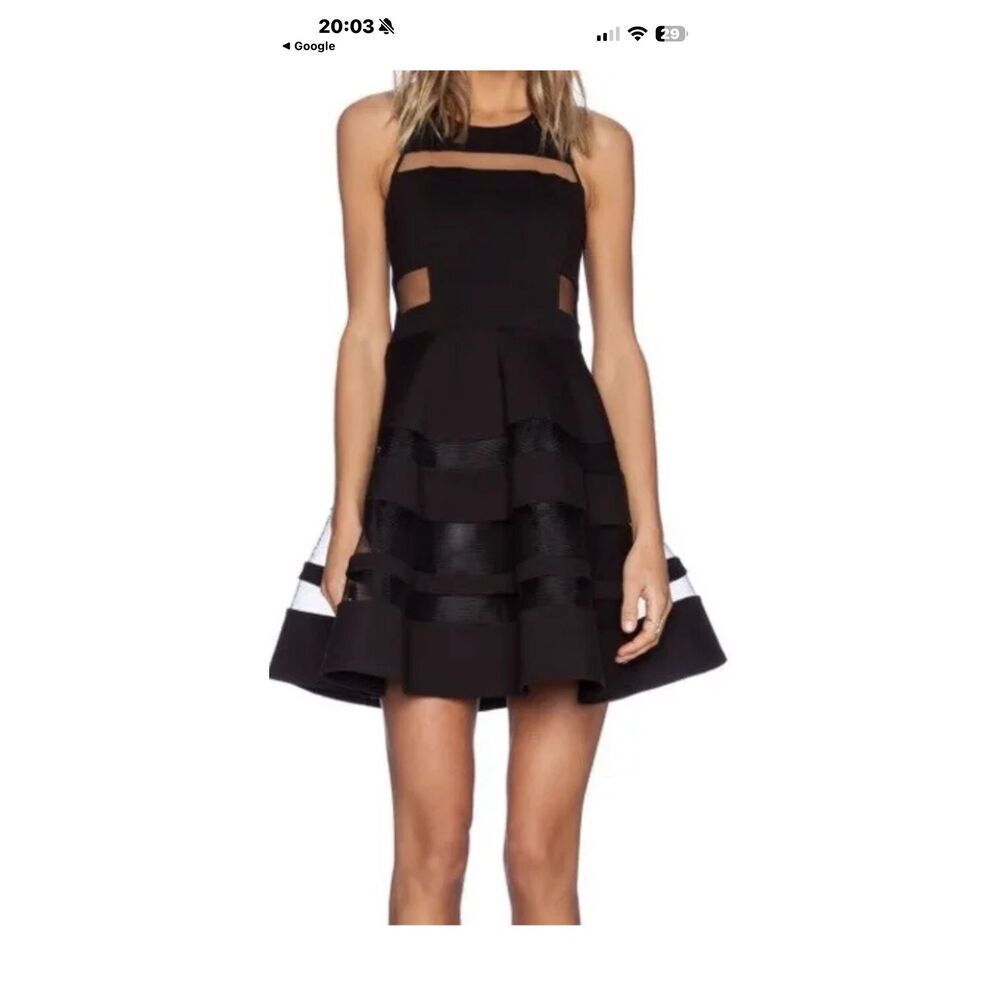 Parker $330 MSRP Black Mesh Cutout Fit & Flare Conner Party Dress Size Small